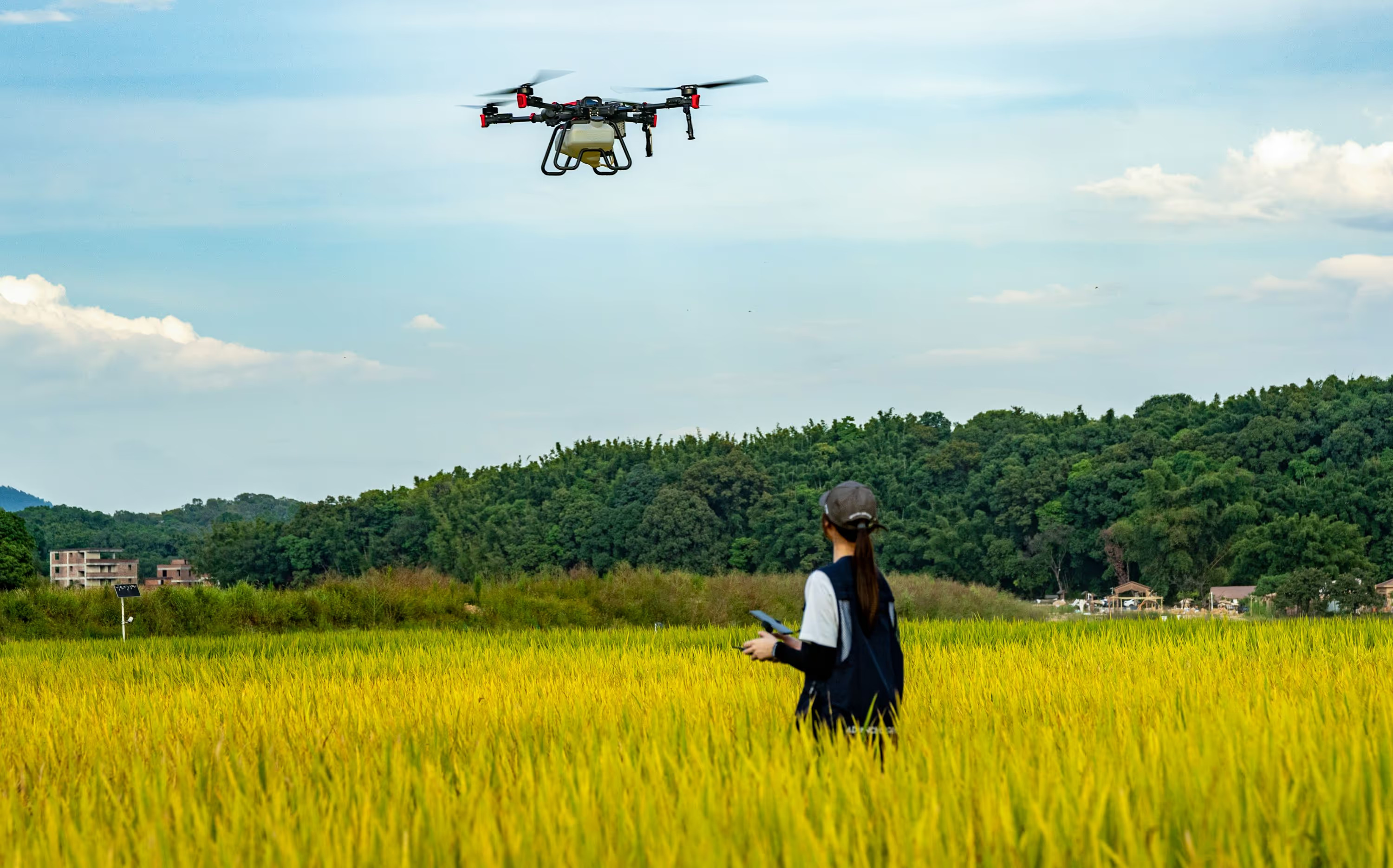 Agricultural drone in flight over golden crops with operator