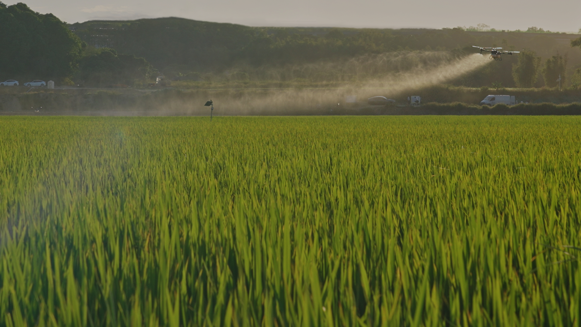 Drone spraying over farmland